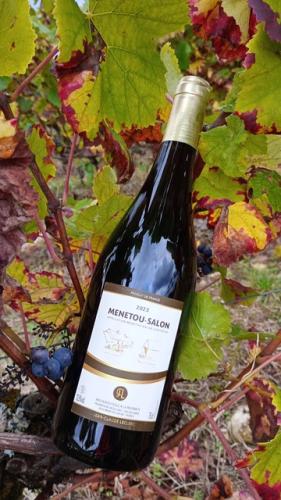 Menetou Salon rouge